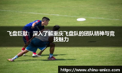 飞盘巨献：深入了解重庆飞盘队的团队精神与竞技魅力